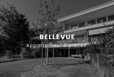 Magnifique 3 Pièces avec Jardin à Bellevue