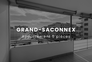 GRAND APPARTEMENT 131m2 à proximité de l'ONU