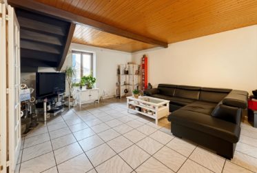 CASATAX - Appartement Triplex au Cœur de Bernex