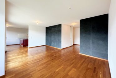 APPARTEMENT 5 PIÈCES