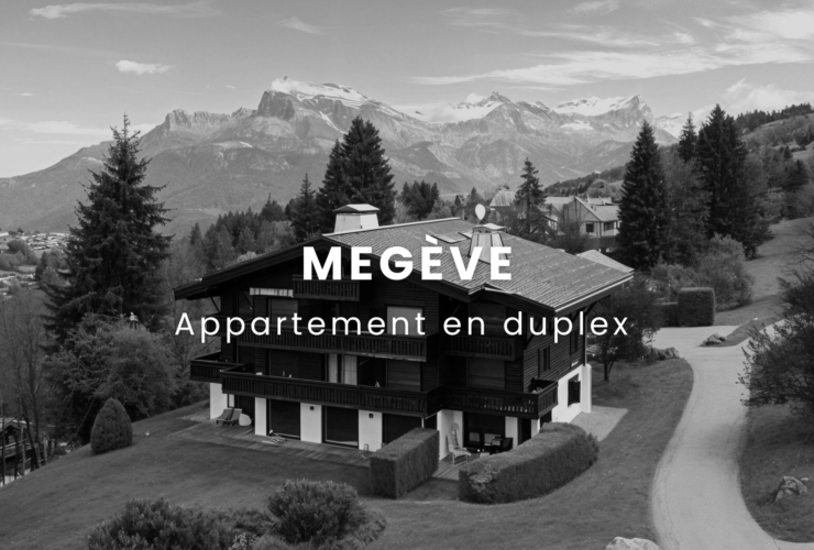 Renovated duplex apartment with balcony