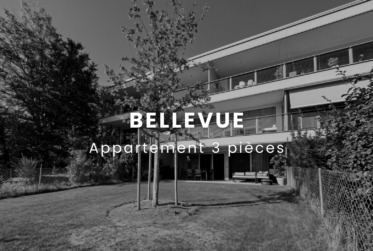 Magnifique 3 Pièces avec Jardin à Bellevue