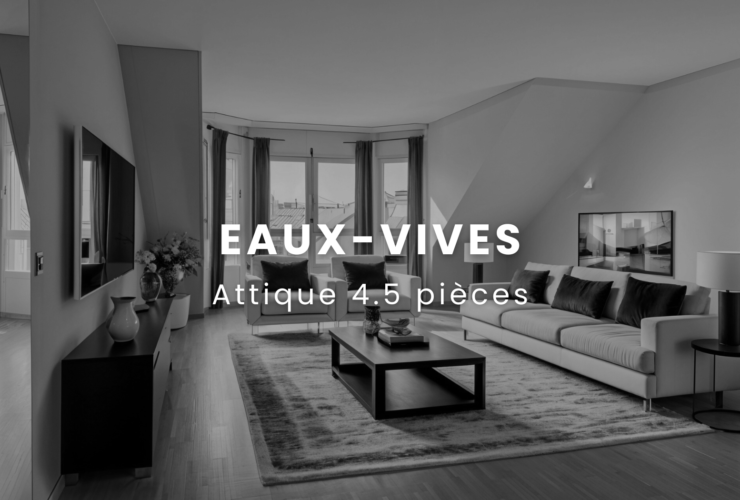 Spacious 4.5-Room Apartment in Eaux-Vives with Lake Proximity