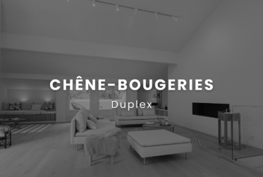 Magnificent renovated penthouse !